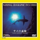 サメの素顔 [DVD](中古品)