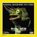 爬虫類と両生類 [DVD](中古品)