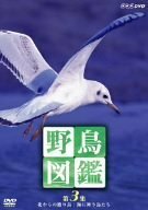 野鳥図鑑 第3集 [DVD](中古品)