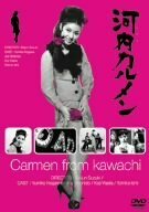 河内カルメン [DVD](中古品)