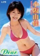 小阪由佳 Dear [DVD](中古品)