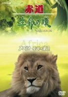 赤道 生命の環 アフリカ 奇跡の草原 [DVD](中古品)