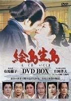 絵島生島 DVD-BOX(中古品)