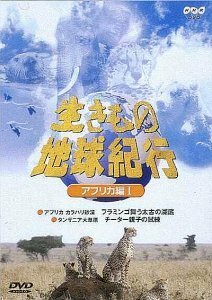 生きもの地球紀行 アフリカ編1 [DVD](中古品)