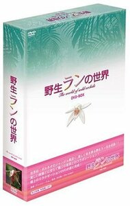野生ランの世界 DVD-BOX(中古品)