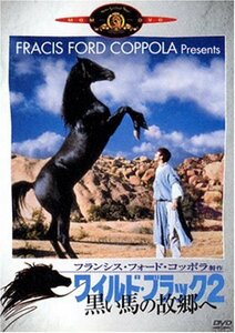 ワイルド・ブラック2/黒い馬の故郷へ [DVD](中古品)