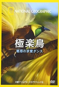 ナショナル ジオグラフィック 極楽鳥 魅惑の求愛ダンス [DVD](中古品)