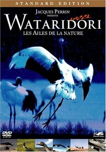 WATARIDORI~もうひとつの物語~ スタンダード・エディション [DVD](中古品)