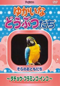 ゆかいなどうぶつたち ~ダチョウ・フラミンゴ・インコ~ [DVD](中古品)