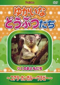ゆかいなどうぶつたち ~コアラ・カンガルー・ワラビー~ [DVD](中古品)