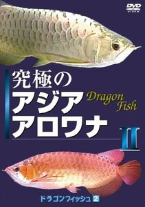 究極のアジアアロワナII(ドラゴンフィッシュ(2))癒し系DVDシリーズ 2007 日(中古品)