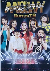 Berryz工房 10周年記念 日本武道館スッぺシャルライブ2013~やっぱりあなた (中古品)