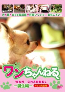 ワンちゃんねる 誕生編 ドラマ完全版 [DVD](中古品)