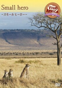 ビバ!アフリカ VOL-4 「スモール ヒーロー」 [DVD](中古品)