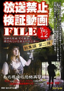 放送禁止検証動画FILE Vol.12 完結編 [DVD](中古品)