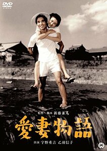 愛妻物語 [DVD](中古品)