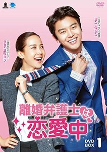 離婚弁護士は恋愛中 DVD-BOX1(中古品)