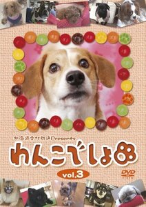 『わんこでしょ』DVD vol.3(中古品)