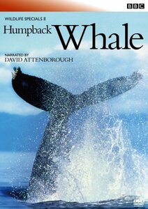 BBC ワイルドライフ・スペシャルII クジラ [DVD](中古品)