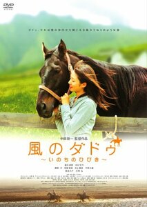 風のダドゥ ~いのちのひびき~ [DVD](中古品)