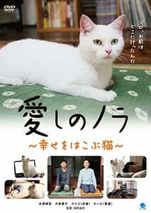 愛しのノラ ~幸せをはこぶ猫~ [DVD](中古品)