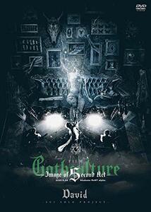FILM “Gothculture” -Image of Second Act- [DVD](中古品)