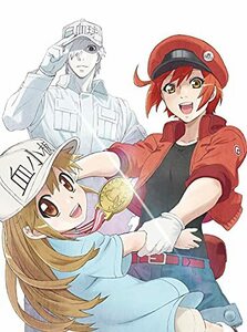 はたらく細胞!! 1(完全生産限定版) [DVD](中古品)