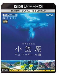世界自然遺産 小笠原 【4K・HDR】~ボニンブルーの海~ [Ultra HD Blu-ray](中古品)