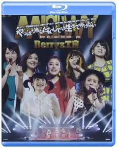 Berryz工房 10周年記念 日本武道館スッぺシャルライブ2013~やっぱりあなた (中古品)