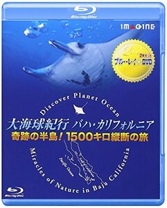 大海球紀行バハ・カリフォルニア　－奇跡の半島！1500キロ縦断の旅－ [Blu-(中古品)