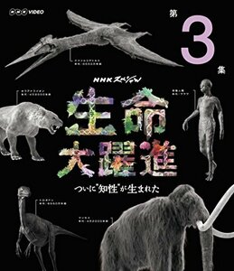 ＮＨＫスペシャル 生命大躍進 第3集 [Blu-ray](中古品)