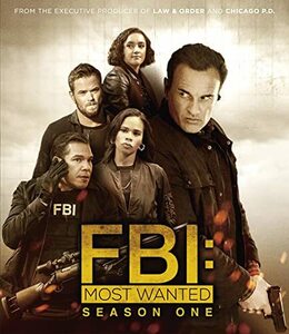 FBI:Most Wanted～指名手配特捜班～ シーズン1 (トク選BOX)(7枚組) [DVD](中古品)