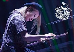STREET PIANO in 日本武道館 ~ハラミちゃん947日目のキセキ~(Blu-ray)(中古品)