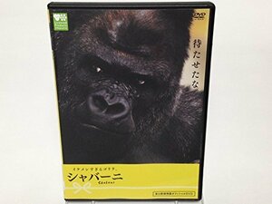 イケメンすぎるゴリラ。シャバーニ [DVD](中古品)