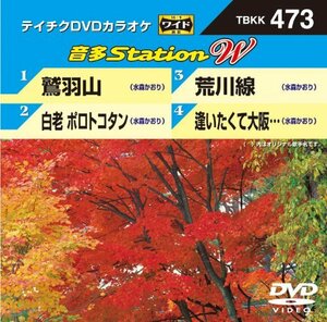 テイチクDVDカラオケ 音多Station W(中古品)