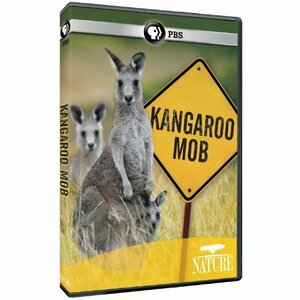 Nature: Kangaroo Mob [DVD](中古品)
