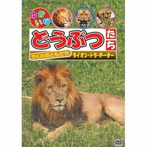 りくのおともだち 「ライオン・トラ・チーター」 [DVD](中古品)
