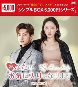 あなたのお気に入りになります DVD-BOX1 (中古品)