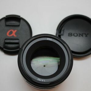 ■ほぼ新品■ SONY 50mm F1.4 SAL50F14 フルサイズ対応 ※17016の画像1