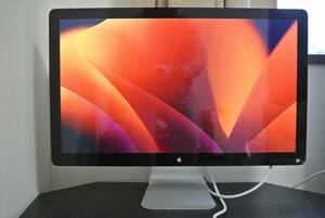 ジャンク　縦線有り　Apple Thunderbolt Display (27-inch)