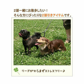 2セット 訳あり ファンタジーワールド ツインリード M ①011 小～中型犬用 多頭飼いの必需品 2頭一緒にお散歩できるリード 4995723401011の画像4