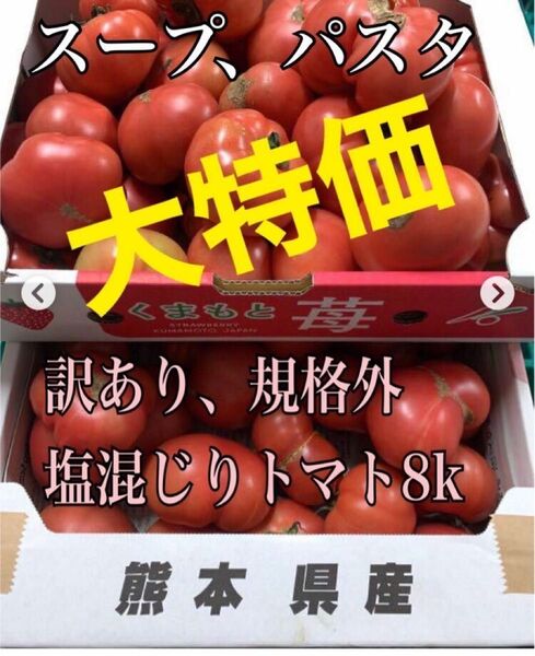 八代産（農家直送）訳あり塩混じりトマト約8kg（送料無料）
