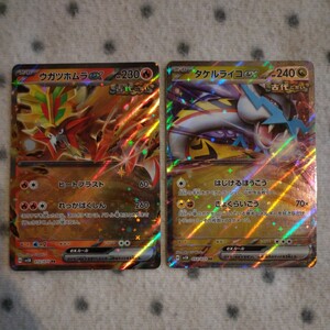 ポケモンカード sv5K ☆ ex 2枚 ☆ ウガツホムラex タケルライコex ☆ ウガツホムラ タケルライコ エンテイ ライコウ ☆ ワイルドフォース