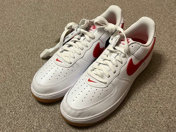 新品★NIKE ナイキ★AIR FORCE 1 エアフォース1★40周年記念モデル★カラーオブザマンス★30.5cm/US12.5