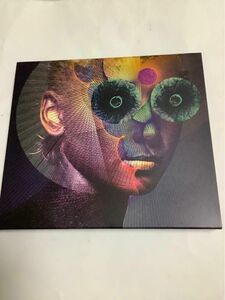 DIR EN GREY / The Insulated World (初回生産限定盤) 2枚組 スリップケース付き