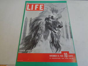 即決　ＬＩＦＥ　ライフ　表紙　犬　アフガン　１９４５年　１９４０ｓ　レトロ　万年筆　ペン　パーカー　レトロ　ミッドセンチェリー