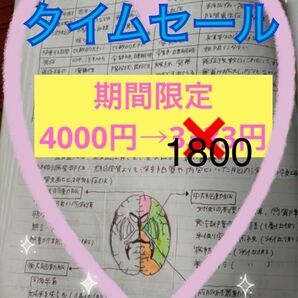 早い者勝ち4000円→1800円看護師国家試験 まとめノート付箋ノート