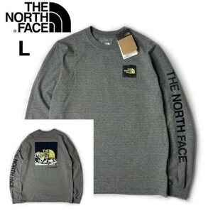 1円～!売切!【正規新品】THE NORTH FACE L/S LOGO PLAY TEE 長袖 Tシャツ ロンT US限定 袖ロゴ ヒマラヤ 落描き風 上質(L)グレー 180902-20