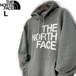 1円～!売切!【正規新品】THE NORTH FACE◆BRAND PROUD HOODIE パーカー ビッグロゴ ハーフドーム US限定 男女兼用(L)グレー 181130-33