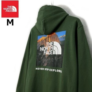 1円～!売切!【正規新品】THE NORTH FACE BOX NSE PULLOVER HOODIE パーカー US限定 バックプリント 裏起毛 男女兼用 登山(M)緑 181130-30